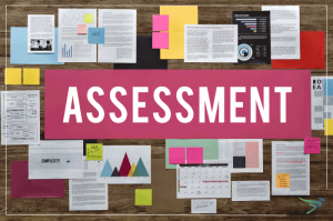 ارزیابی مهارت مهاجرتی Migration Skills Assessment (MSA)